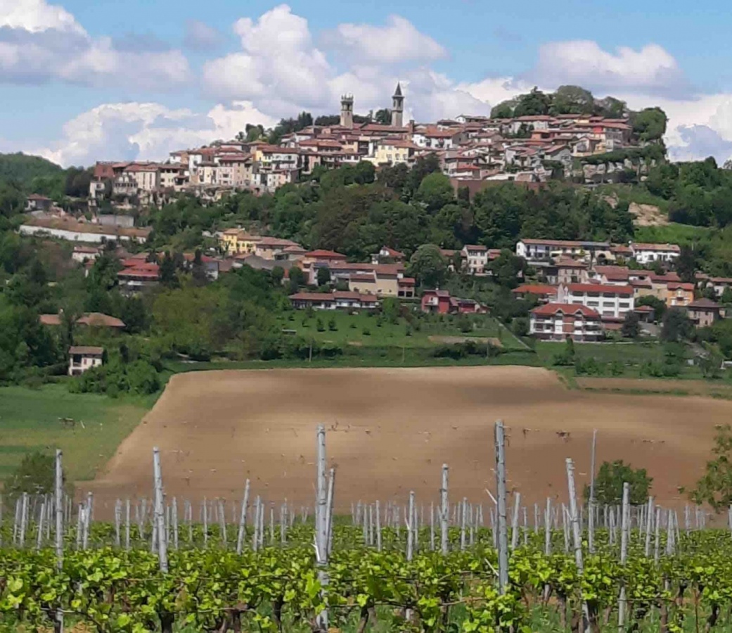 Ritorna in Rosignano Monferrato l'evento &laquo;Grignolino sotto le stelle&raquo;